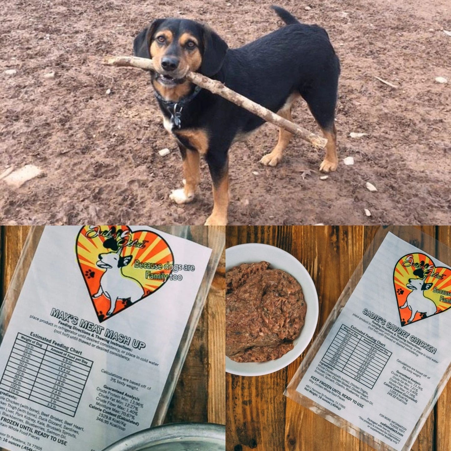 Chaos' Personal Picks!