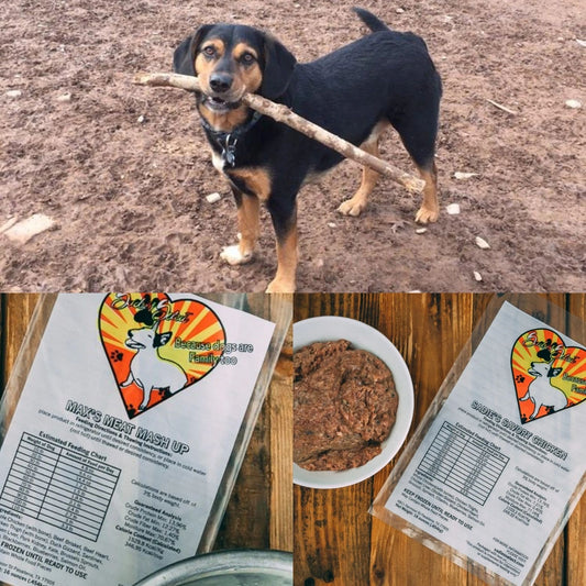 Chaos' Personal Picks!