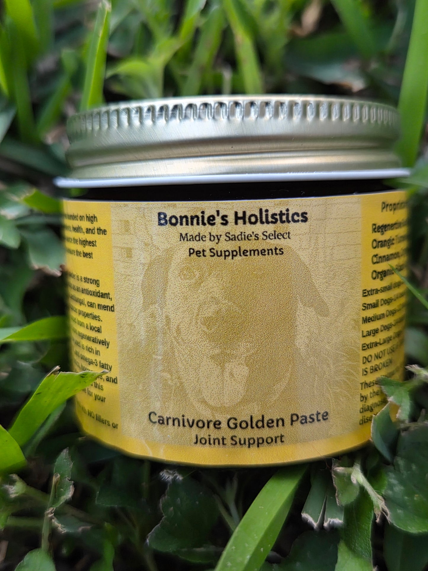 Carnivore Golden Paste